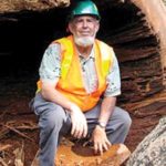 Landscape professionals to host  two free classes about tree care